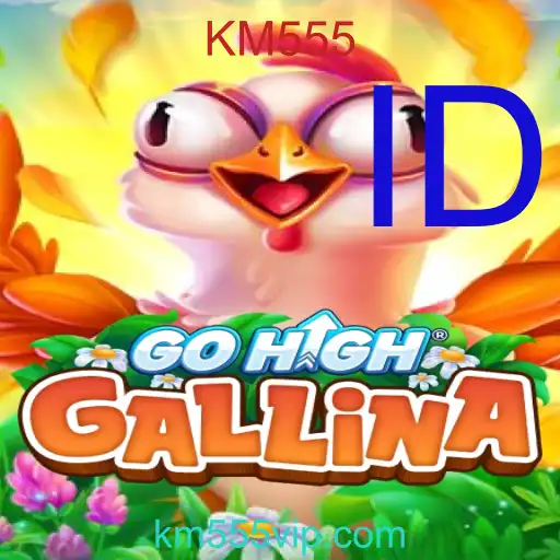 GoHighGallina